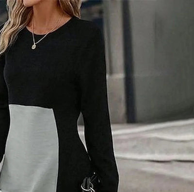 Eleanor Chic Long Sleeve Color Block Mini Dress